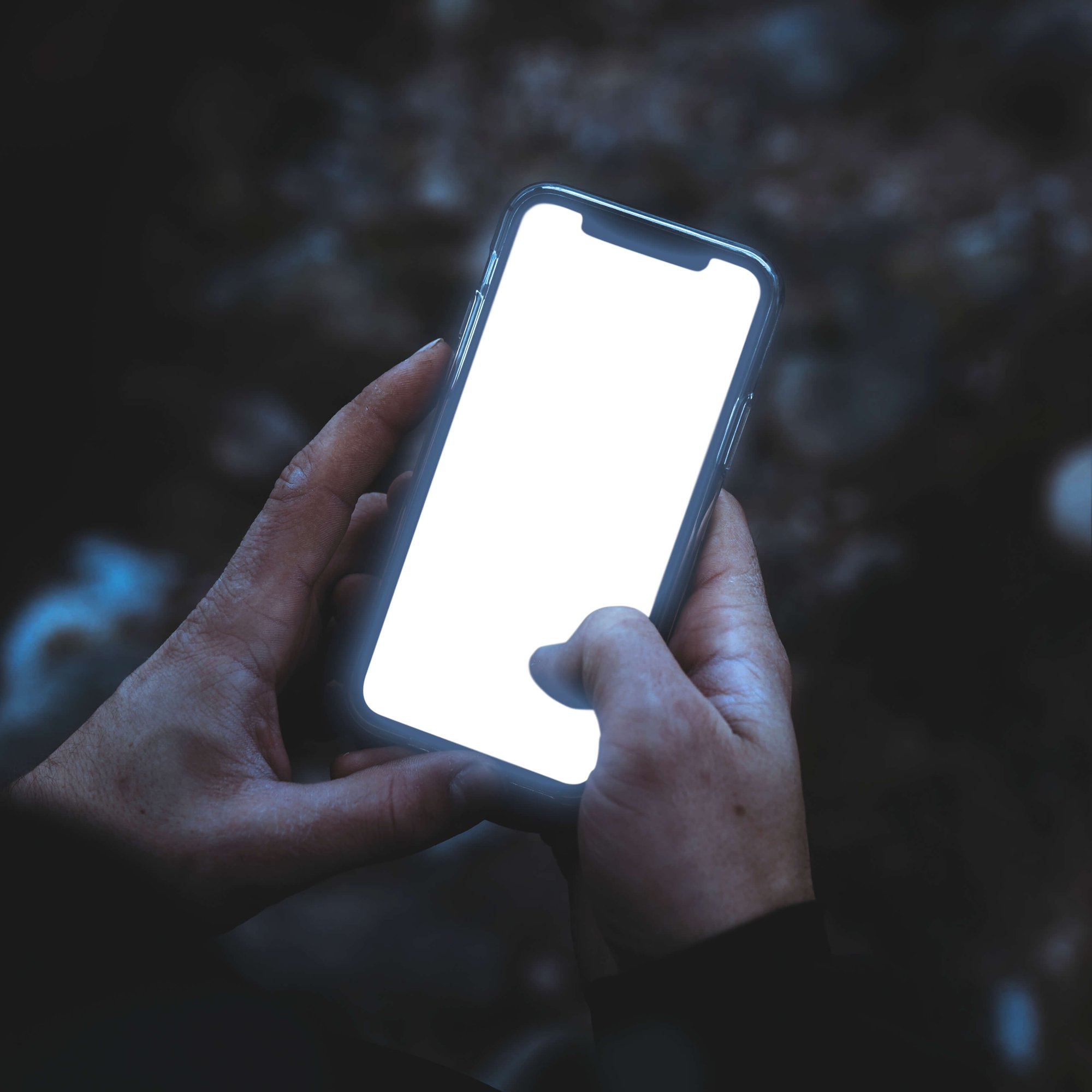 mobile-screen-template-2025-02-10-08-38-22-utc (1)